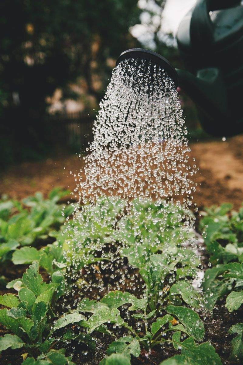 植栽工事